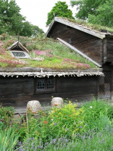 Домик с торфяной цветущей крышей в Скансене