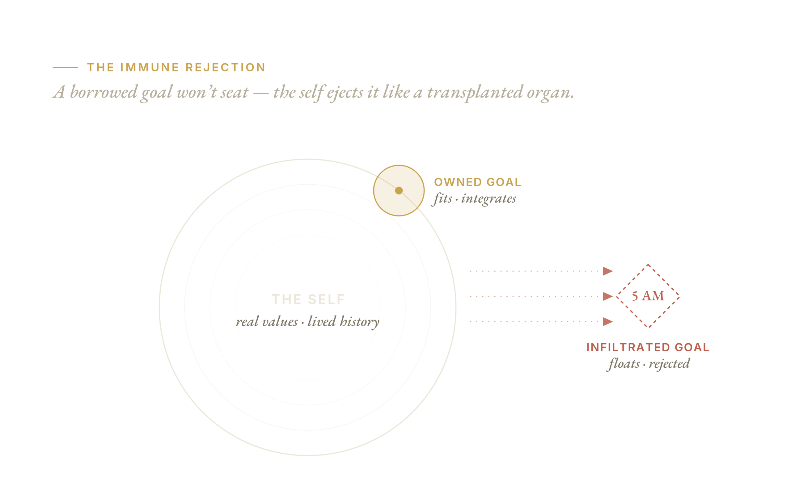 The immune rejection