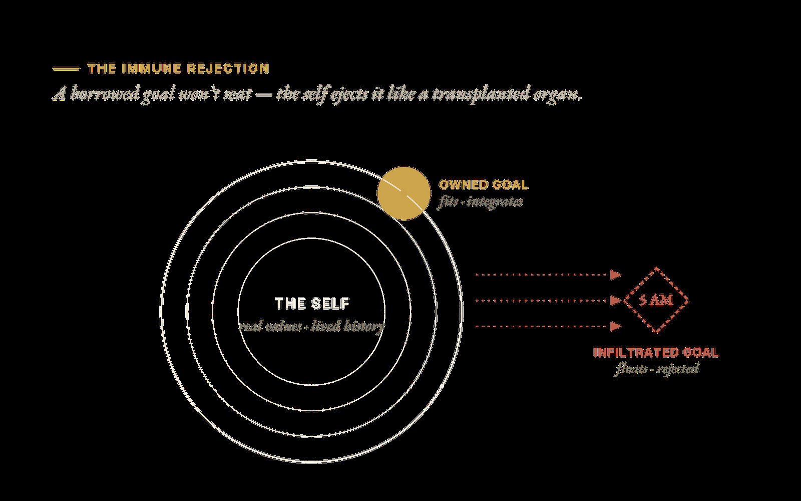 The immune rejection